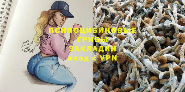 соль курить ск Саки