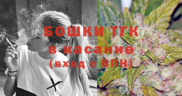 дживик Рыльск