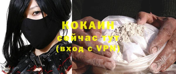 хмурый Туринск